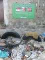 0302_No_Littering