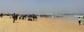 0420_Plage_de_Yoff