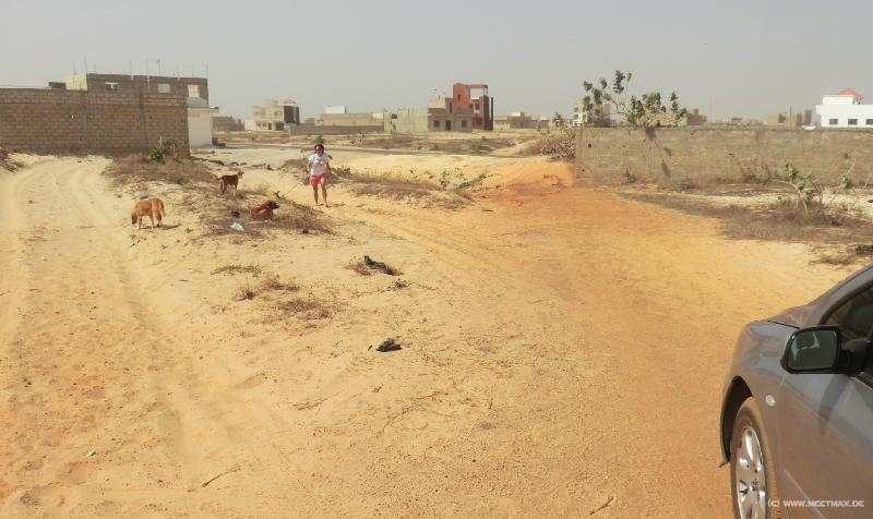 0584_Sand_road