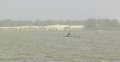 0595_Lac_Rose