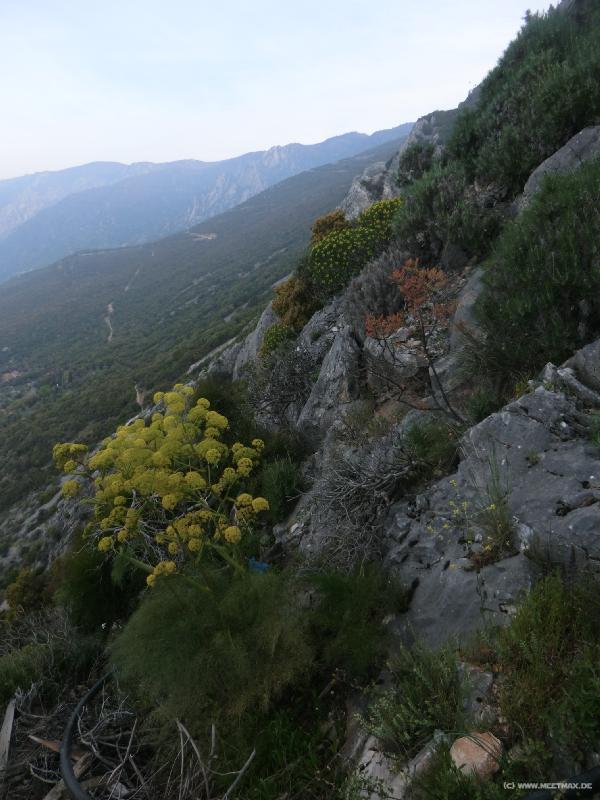 0155