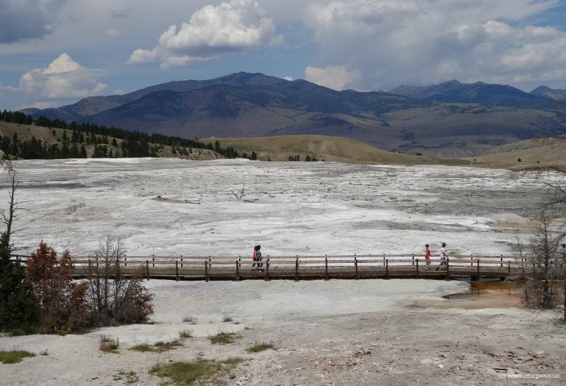 0508_Mammoth_Hot_Springs