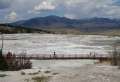 0508_Mammoth_Hot_Springs
