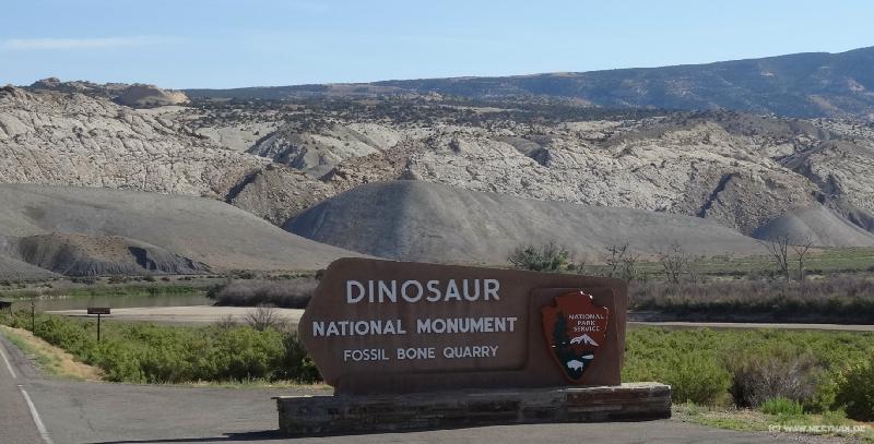 0244_Dinosaur_NM