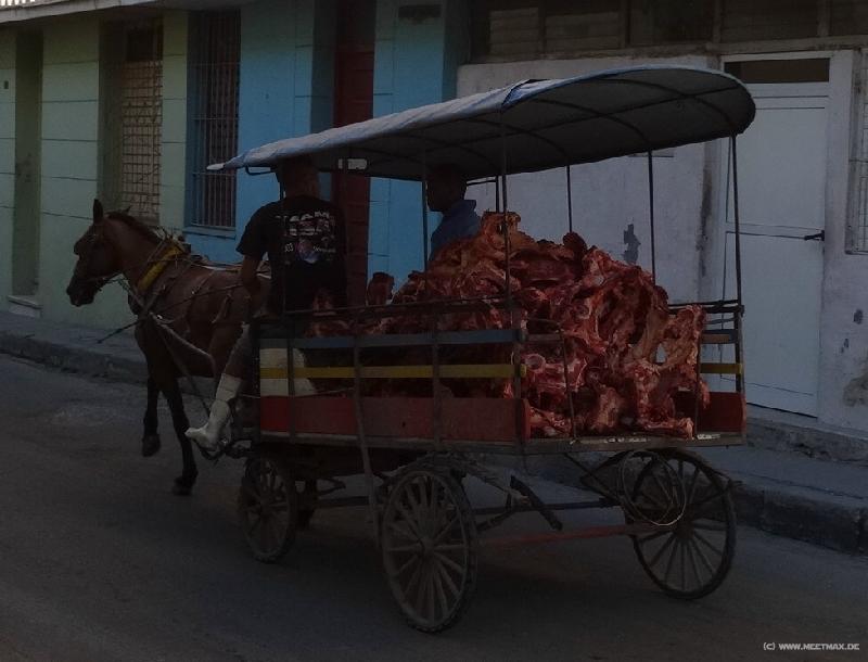 0386_Meat_transport
