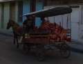 0386_Meat_transport