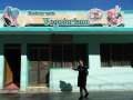 0459_Vegetariano