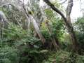 0518