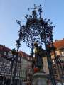0010_G�nseliesel