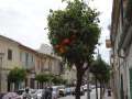 0017_Inca_street