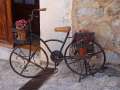 0038_Bike