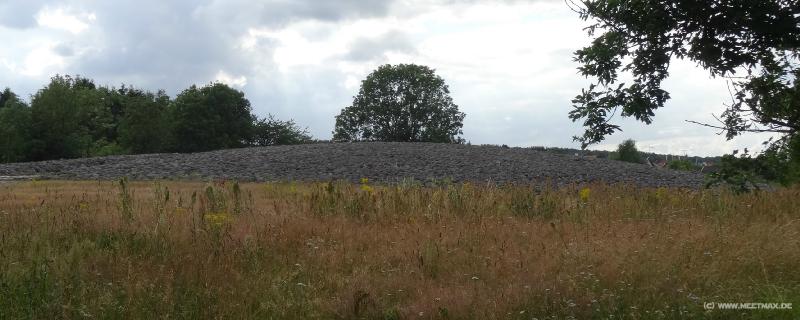 0129_Kiviksgraven