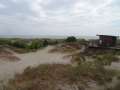 0084_Sandhammar