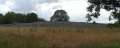 0129_Kiviksgraven