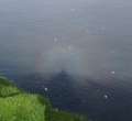0255_Rainbow