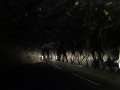 0537_Trollanes_tunnelin