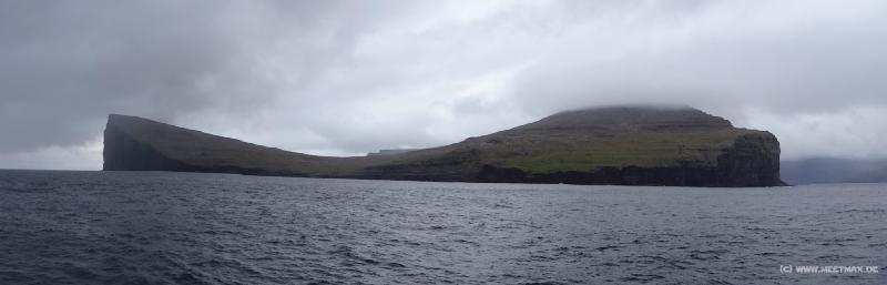 0624_Svinoy