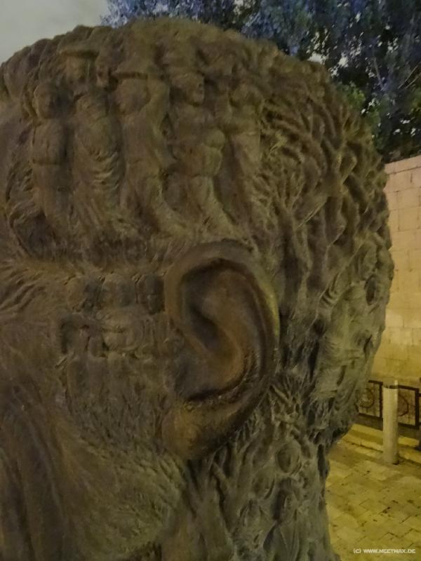 0269_Vahid's_hair