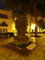 0268_Vahid