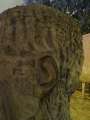 0269_Vahid's_hair