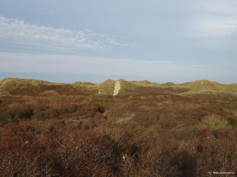 0539_Les_Dunes