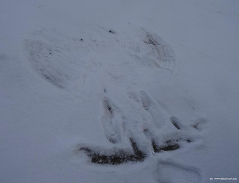 0822_Snow_angel