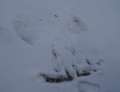 0822_Snow_angel