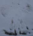 0823_Snow_devil