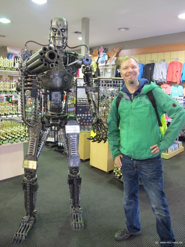 0665_Terminator