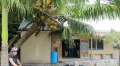 0789_Matutu_Brewery
