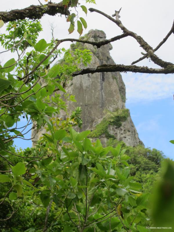 0849_The_Needle