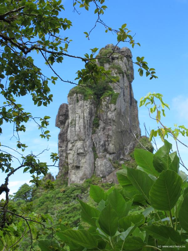 0874_Needle