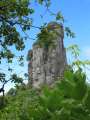 0874_Needle
