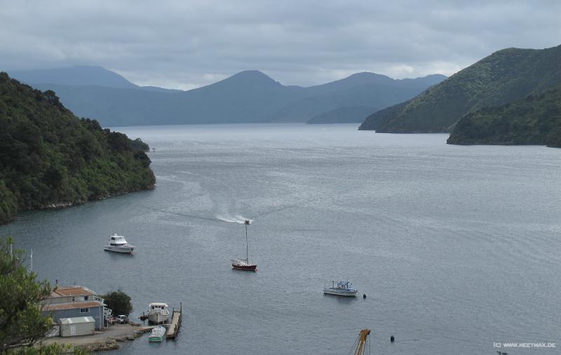 1062_Queen_Charlotte_Sound