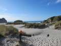 1153_Wharariki_beach