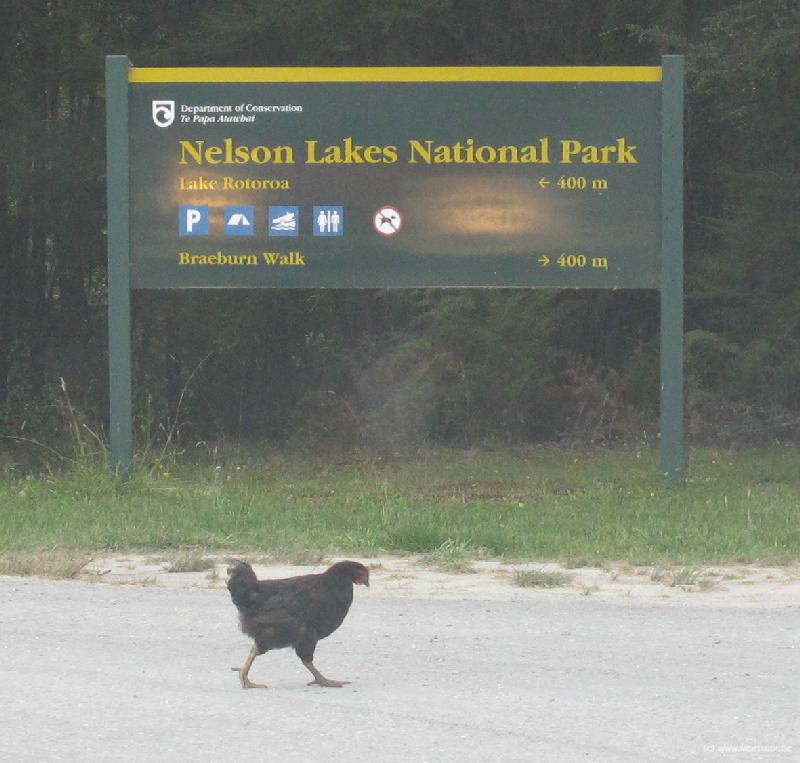 1244