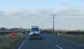 1360_Cows_passing