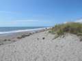 1535_Haast_Beach