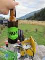 1649_Moa