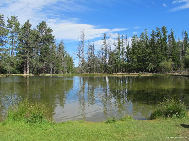 1745_Swim_lake