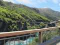 1691_Bungy_bridge