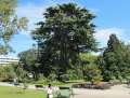 1832_Hagley_Park