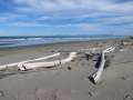 1871_Waikuku_Beach