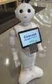 1794_Robot