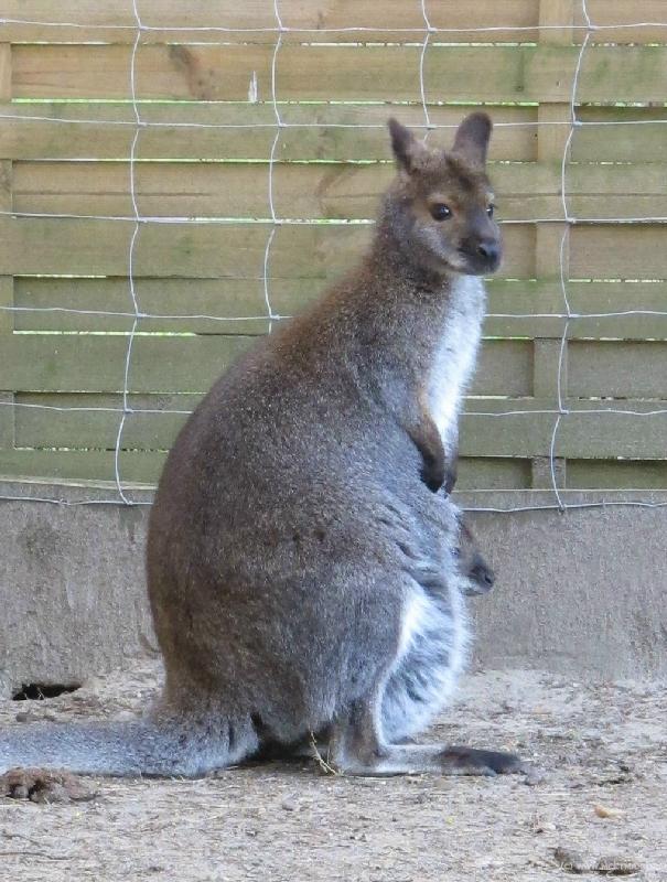 2193