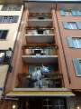 1036_Blaue_Kuh